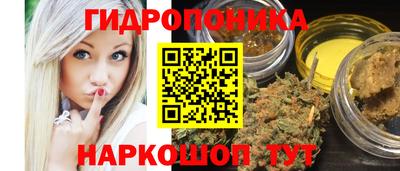 мяу мяу мука Гусь-Хрустальный