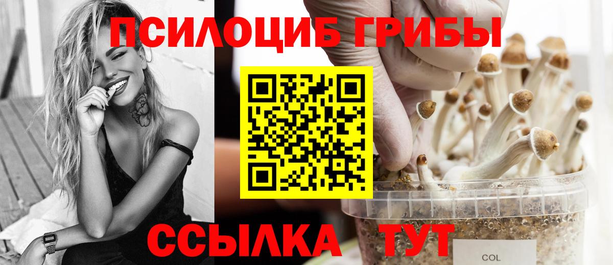 Миасс  Галлюциногенные грибы ЛСД  Вход с VPN 