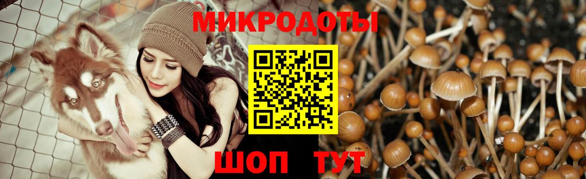 Галлюциногенные грибы мухоморы Миасс